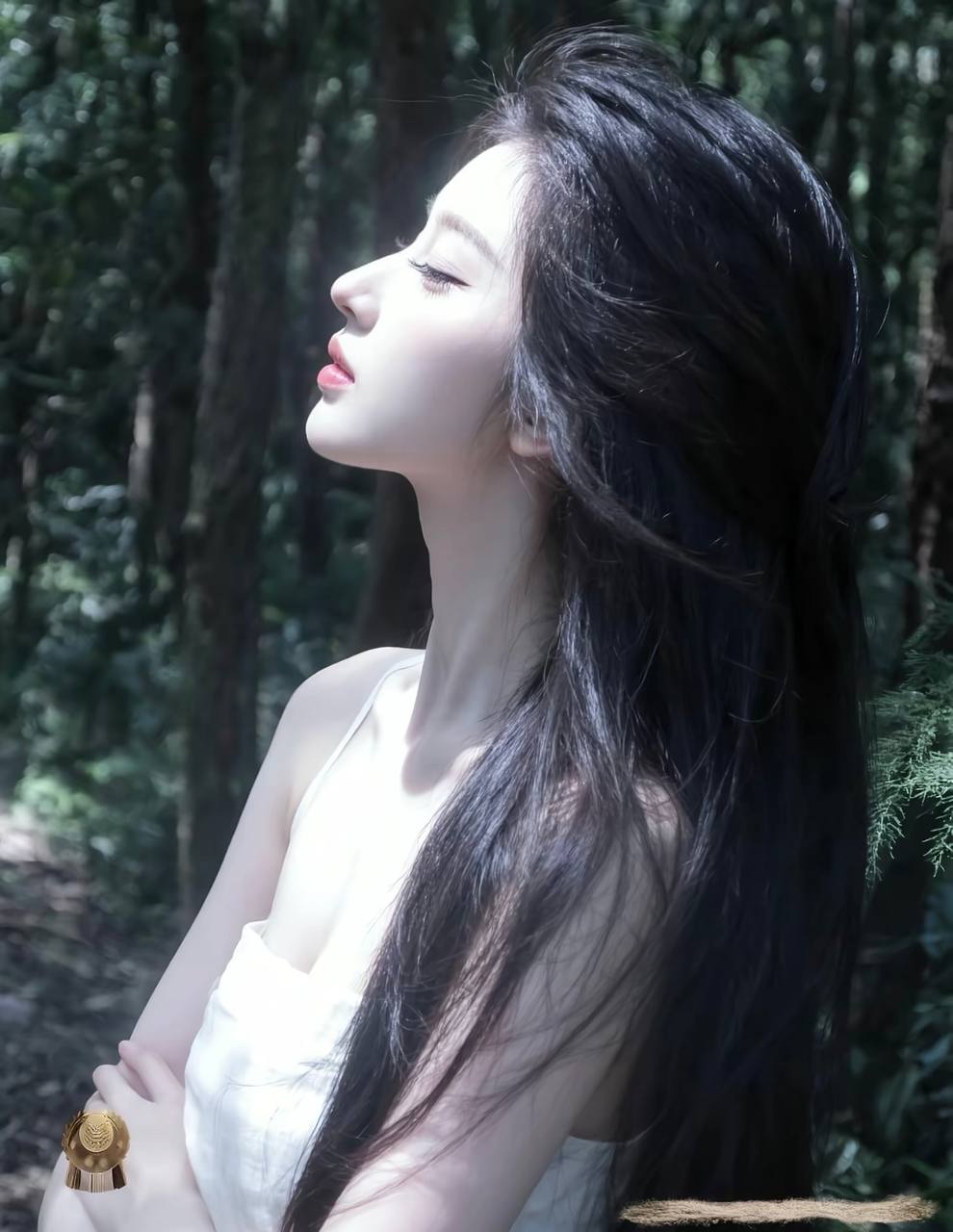 院线胶片